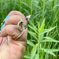Snake Open Rings - Sand and Snow Jewelry - Rings - Ready to Ship